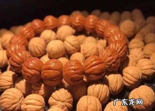 文玩猴头是什么植物的种子