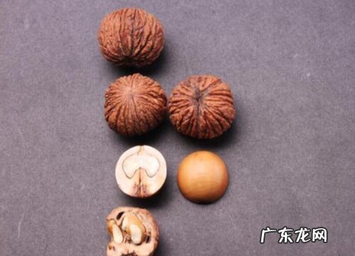 文玩猴头是什么植物的种子