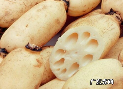 耦是什么植物的根