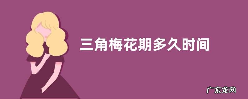 三角梅花期多久时间