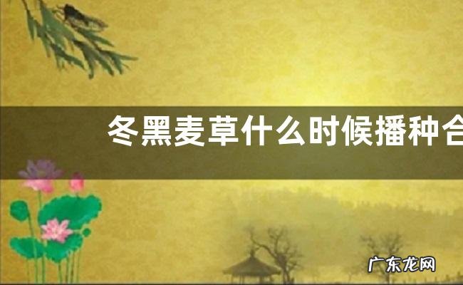 冬黑麦草什么时候播种合适