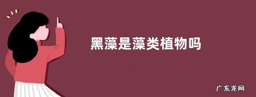 黑藻是藻类植物吗