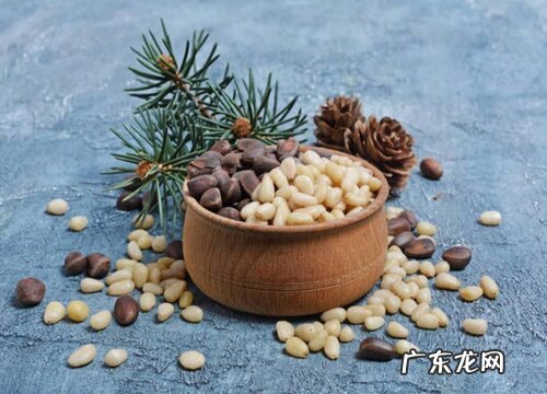 松子是什么植物的果实