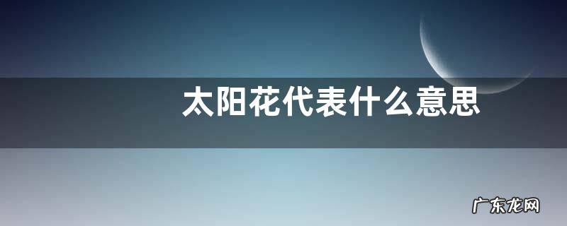 太阳花代表什么意思