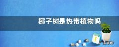 椰子树是热带植物吗