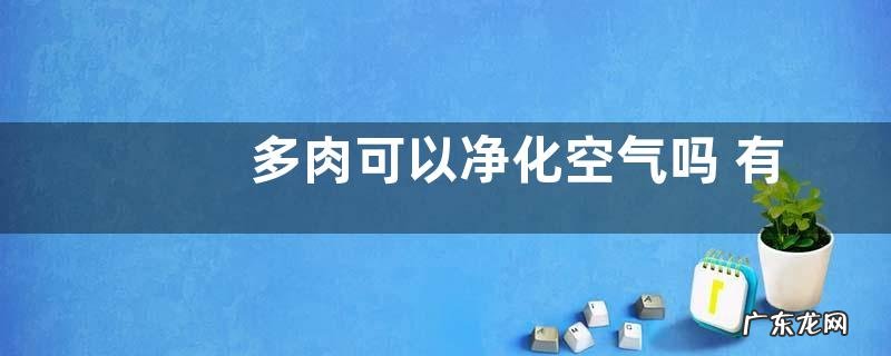 多肉可以净化空气吗 有吸甲醛的作用吗
