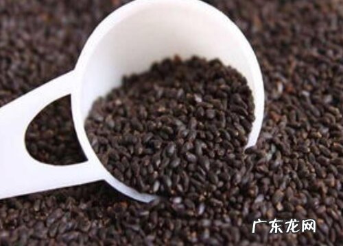 兰香子是什么植物的种子