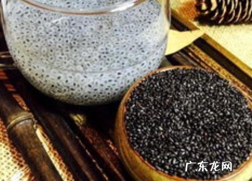 兰香子是什么植物的种子