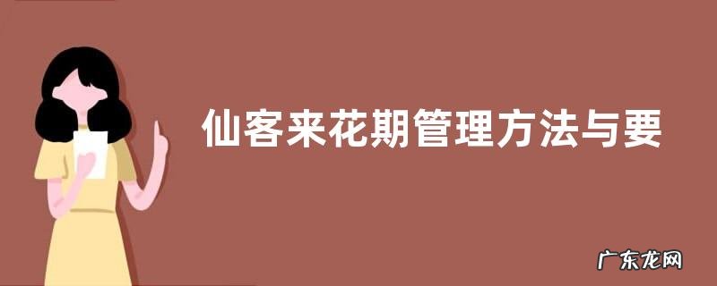 仙客来花期管理方法与要点