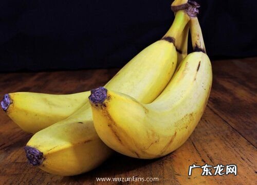 香蕉是什么水果