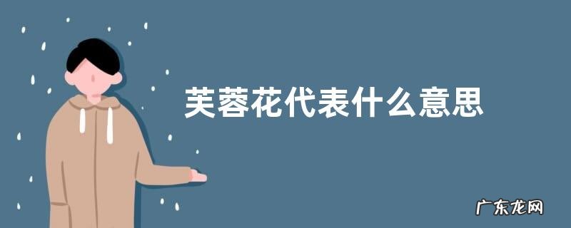 芙蓉花代表什么意思