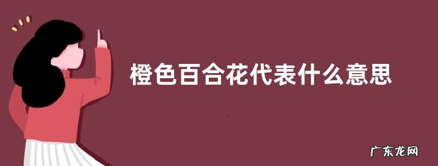 橙色百合花代表什么意思
