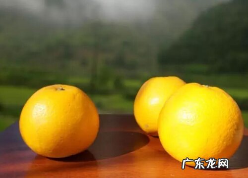 柚子有多少品种