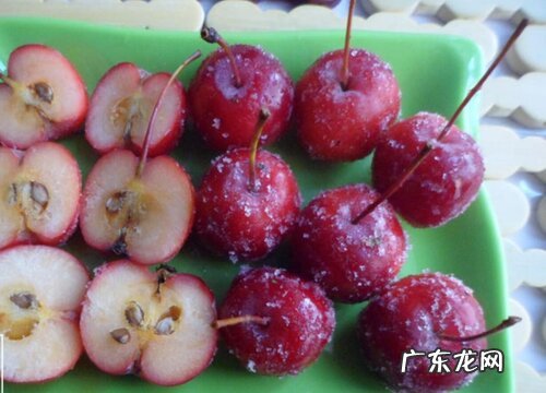 沙果是什么水果