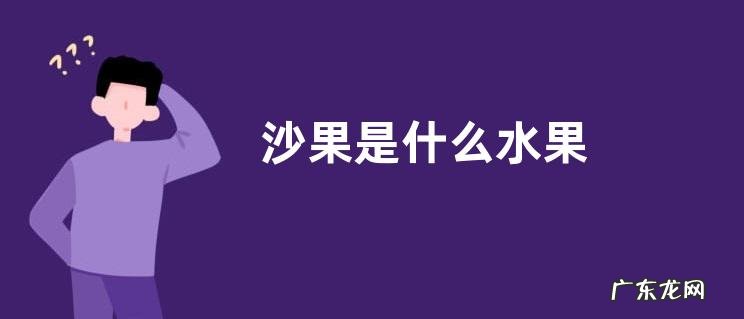 沙果是什么水果