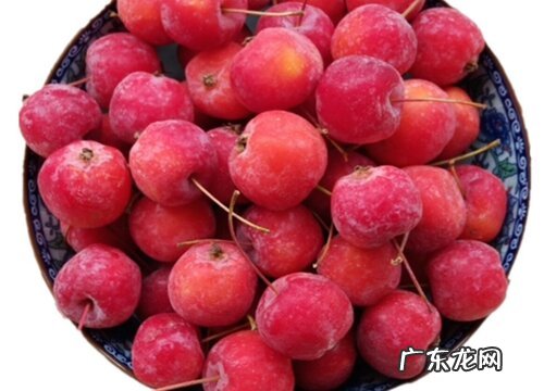 沙果是什么水果