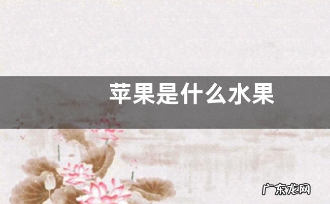 苹果是什么水果