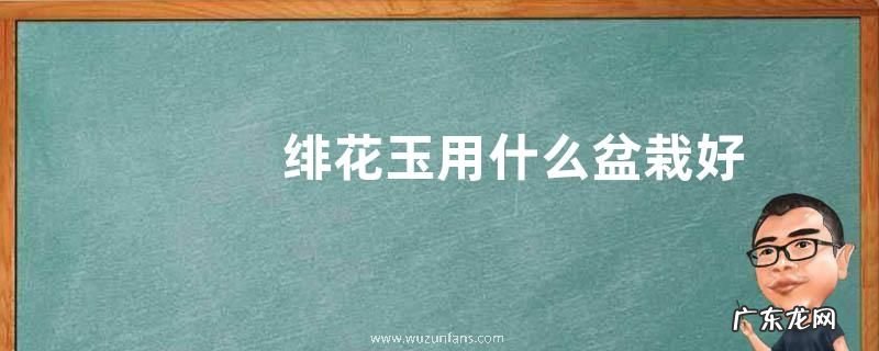 绯花玉用什么盆栽好