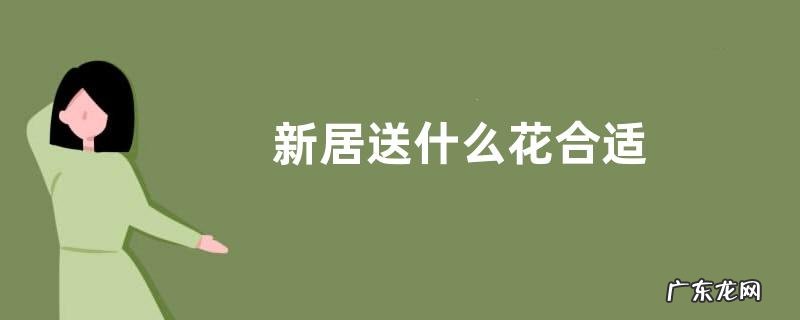 新居送什么花合适