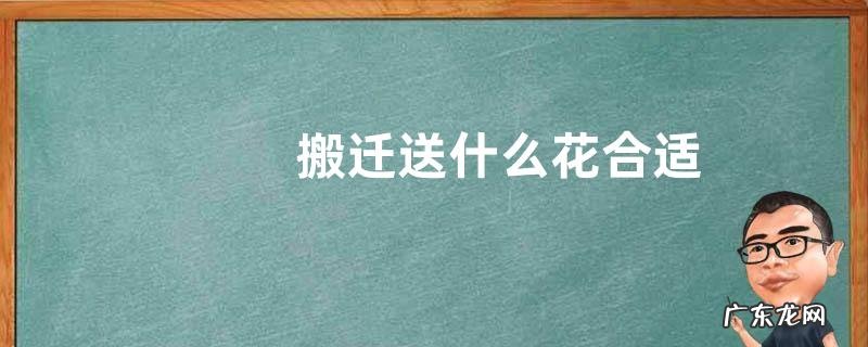 搬迁送什么花合适