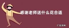 感谢老师送什么花合适