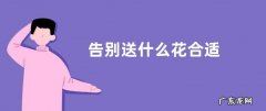 告别送什么花合适