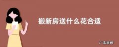 搬新房送什么花合适