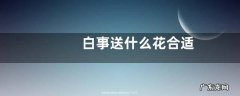 白事送什么花合适