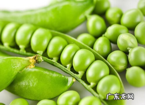 豌豆长什么样子