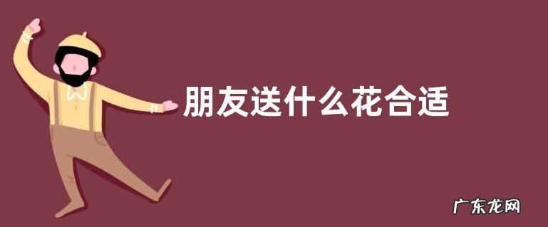 朋友送什么花合适