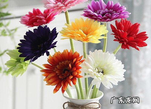 朋友送什么花合适