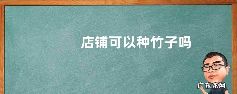 店铺可以种竹子吗