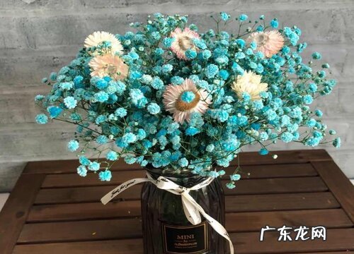 一周年送什么花合适