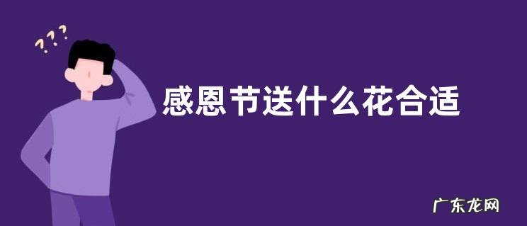 感恩节送什么花合适