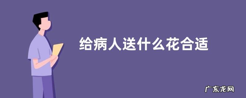 给病人送什么花合适