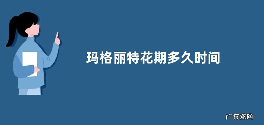 玛格丽特花期多久时间