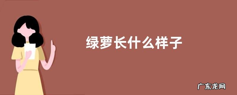 绿萝长什么样子