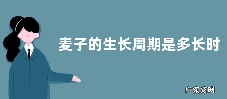 麦子的生长周期是多长时间