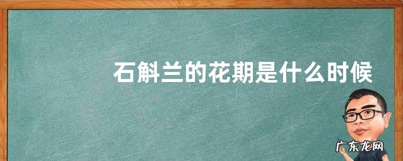 石斛兰的花期是什么时候