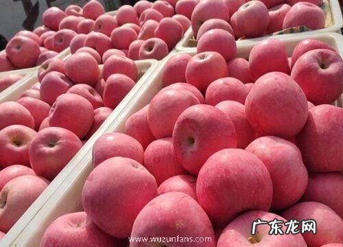 上坟买什么水果好