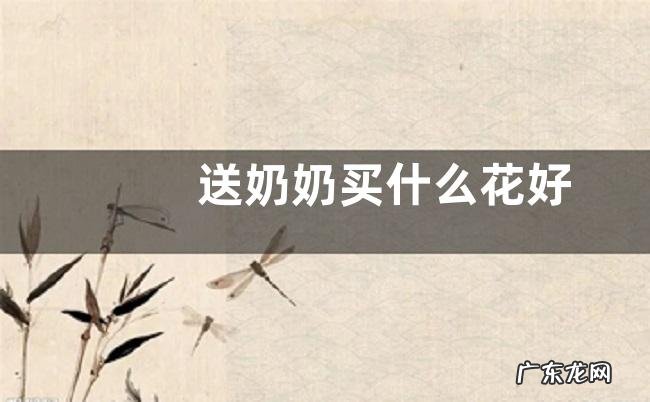 送奶奶买什么花好