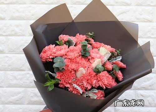 送奶奶买什么花好