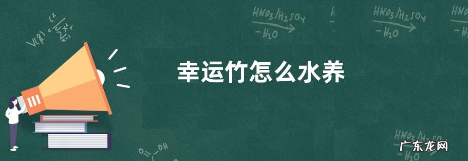 幸运竹怎么水养