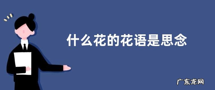 什么花的花语是思念