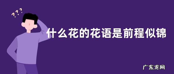 什么花的花语是前程似锦