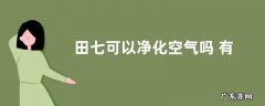 田七可以净化空气吗 有吸甲醛的作用吗