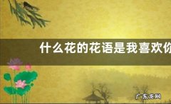 什么花的花语是我喜欢你