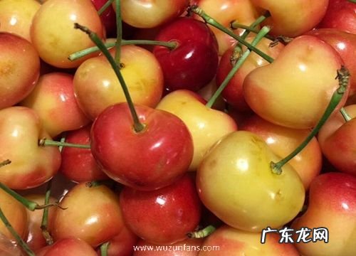 山东樱桃是什么季节的水果
