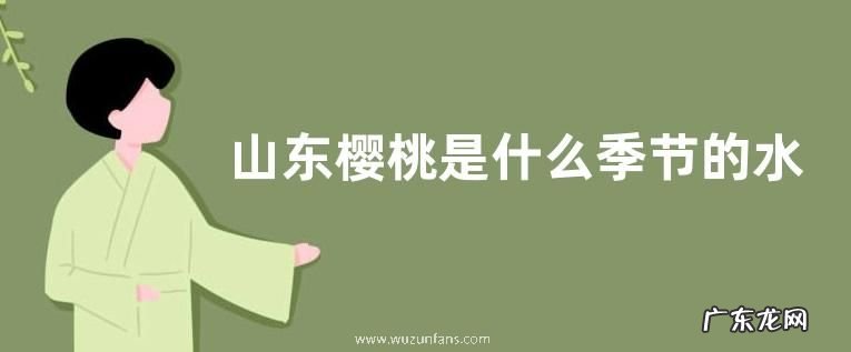 山东樱桃是什么季节的水果