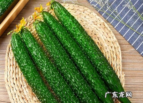 黄瓜是什么季节的水果
